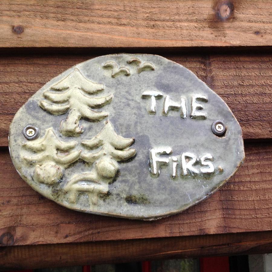 The Firs Apartment Builth Wells Exterior photo